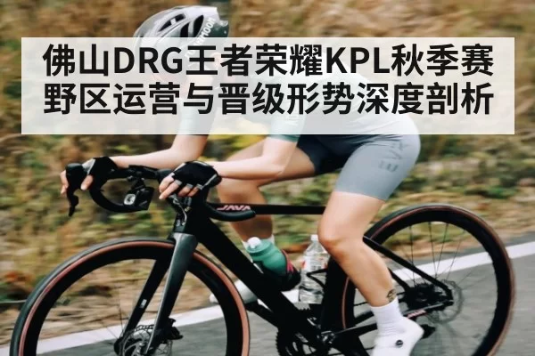 佛山DRG王者荣耀KPL秋季赛野区运营与晋级形势深度剖析